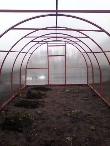 Теплица "Ирина"